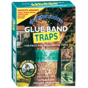 Glue Band Traps 1.75kg